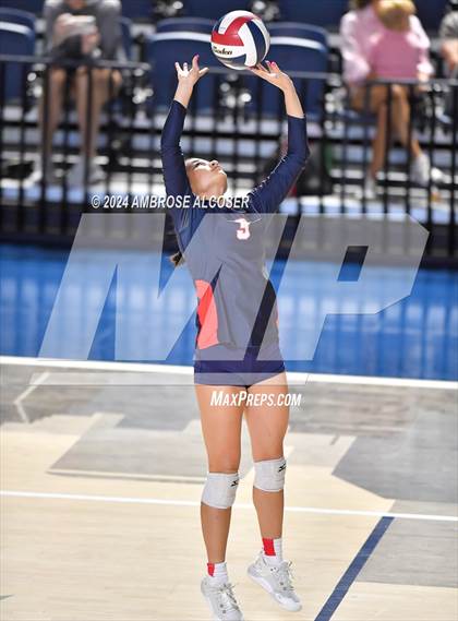 Thumbnail 2 in Lamar @ Heights photogallery.