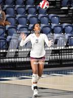 Photo from the gallery "Lamar @ Heights"