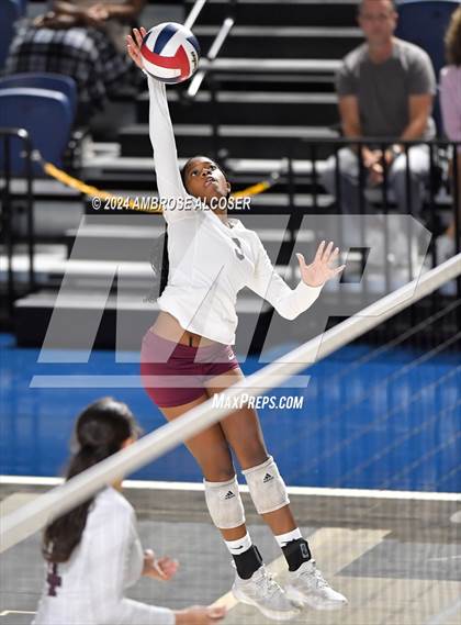 Thumbnail 1 in Lamar @ Heights photogallery.