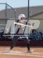 Photo from the gallery "Pueblo West vs. Windsor"