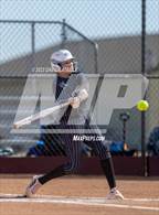 Photo from the gallery "Pueblo West vs. Windsor"