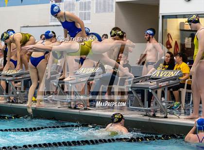 Thumbnail 1 in Hamilton Southeastern @ Avon photogallery.