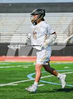 Photo from the gallery "Palos Verdes @ Peninsula"