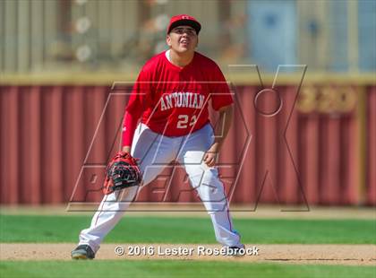 Thumbnail 1 in FR: Antonian vs Fredericksburg (Freshman) photogallery.