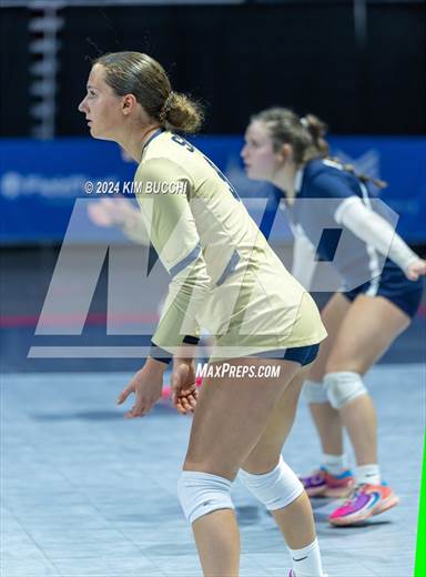 null - Photo 31