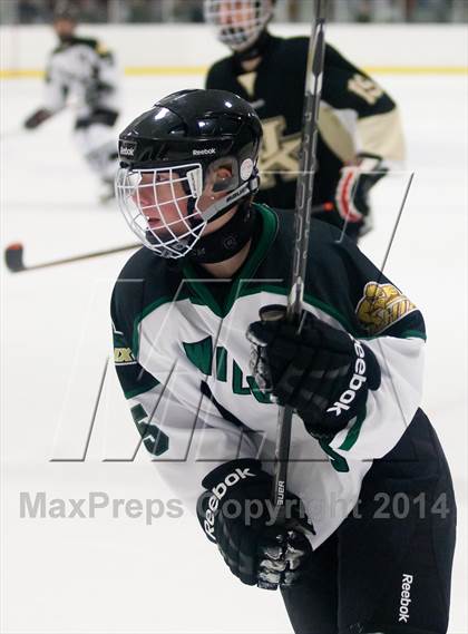 Thumbnail 1 in Wayland @ Jenison photogallery.