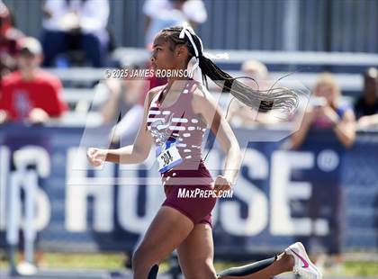 Thumbnail 2 in Bob Hayes Invitational (High Jump) photogallery.