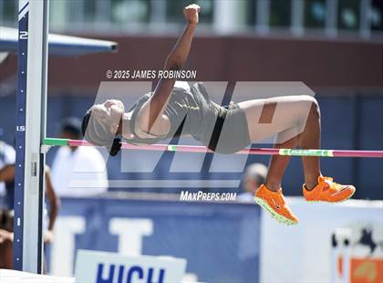 Thumbnail 2 in Bob Hayes Invitational (High Jump) photogallery.