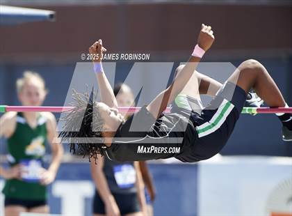 Thumbnail 3 in Bob Hayes Invitational (High Jump) photogallery.