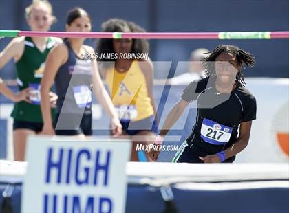 Thumbnail 2 in Bob Hayes Invitational (High Jump) photogallery.