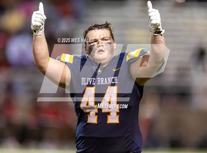 Thumbnail 2 in Shannon @ Olive Branch photogallery.
