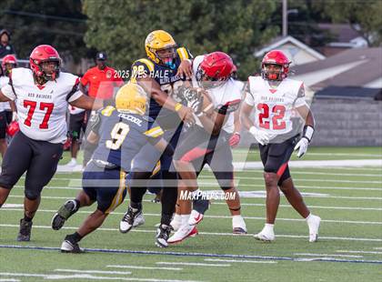 Thumbnail 1 in Shannon @ Olive Branch photogallery.