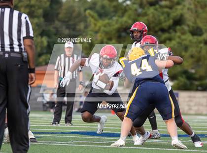 Thumbnail 1 in Shannon @ Olive Branch photogallery.