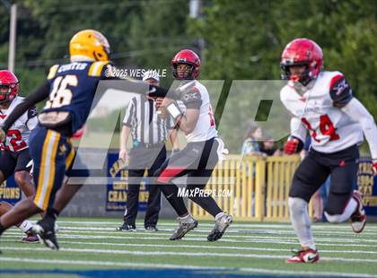 Thumbnail 1 in Shannon @ Olive Branch photogallery.