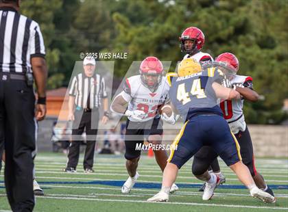 Thumbnail 3 in Shannon @ Olive Branch photogallery.