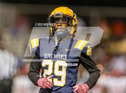 Thumbnail 3 in Shannon @ Olive Branch photogallery.