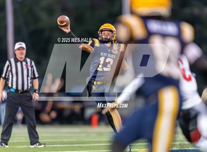 Thumbnail 3 in Shannon @ Olive Branch photogallery.