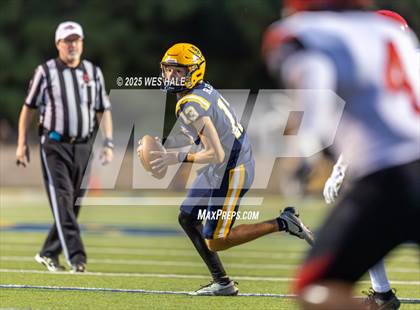 Thumbnail 3 in Shannon @ Olive Branch photogallery.