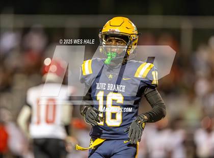 Thumbnail 3 in Shannon @ Olive Branch photogallery.