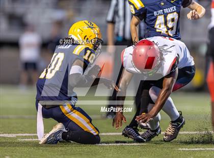 Thumbnail 3 in Shannon @ Olive Branch photogallery.