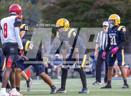 Thumbnail 2 in Shannon @ Olive Branch photogallery.