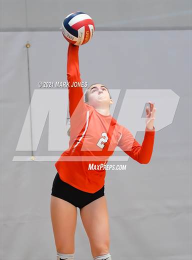 null - Photo 41