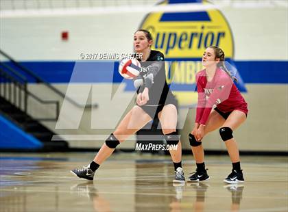 Thumbnail 1 in Roswell vs. Walton (Area Tournament) photogallery.