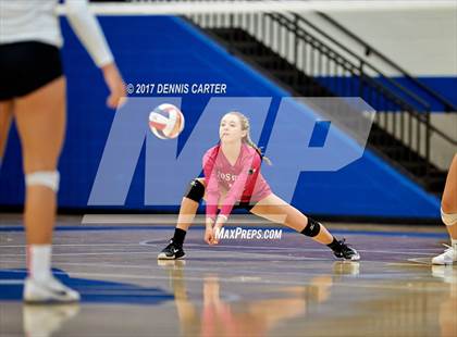 Thumbnail 1 in Roswell vs. Walton (Area Tournament) photogallery.