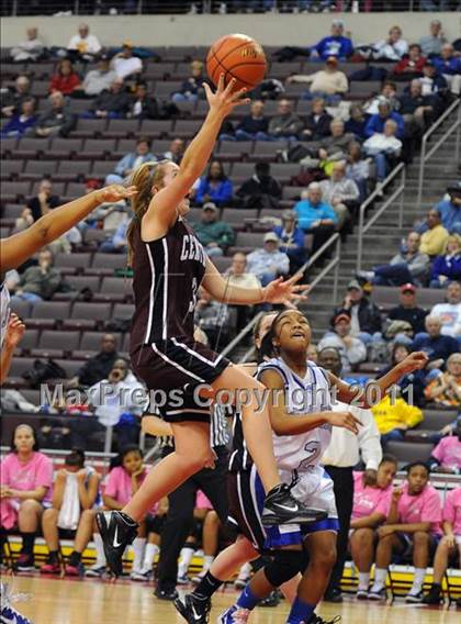 Thumbnail 3 in Reading Central Catholic vs. Steelton-Highspire (D3 Class A Final) photogallery.