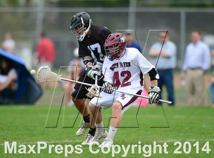 Thumbnail 1 in Xavier @ North Haven photogallery.