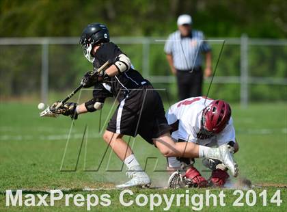 Thumbnail 1 in Xavier @ North Haven photogallery.