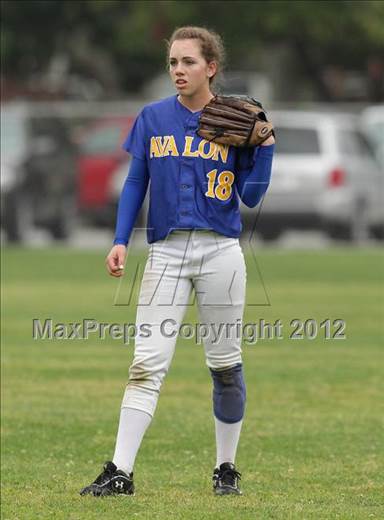 null - Photo 11