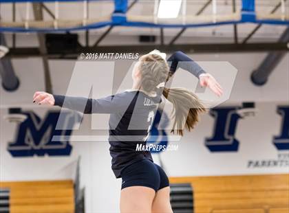 Thumbnail 3 in Lakewood @ Columbine photogallery.