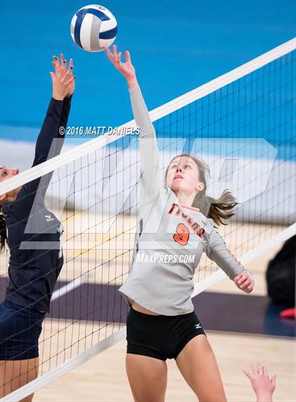 Thumbnail 3 in Lakewood @ Columbine photogallery.