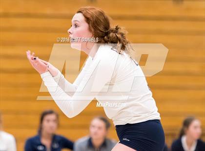 Thumbnail 3 in Lakewood @ Columbine photogallery.