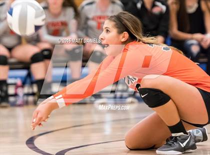 Thumbnail 1 in Lakewood @ Columbine photogallery.