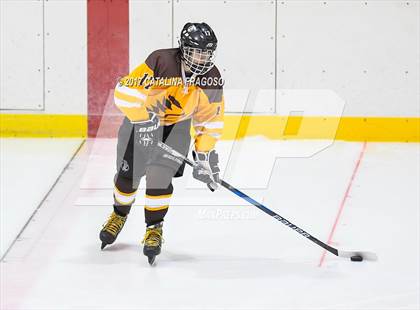 Thumbnail 1 in Watchung Hills Regional @ Ridge (NJSIAA Public A Final)  photogallery.