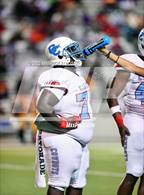 Photo from the gallery "Carter @ Yates"