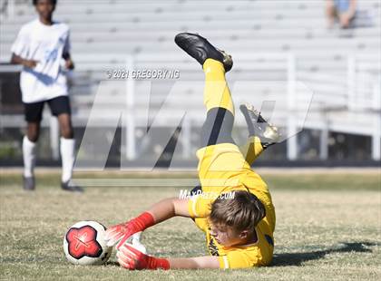 Thumbnail 3 in Panther Creek @ Millbrook photogallery.