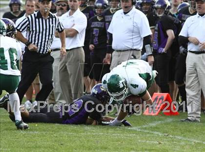 Thumbnail 3 in Enfield @ Ellington/Somers photogallery.