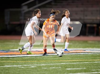 Thumbnail 3 in Woodson @ West Springfield photogallery.