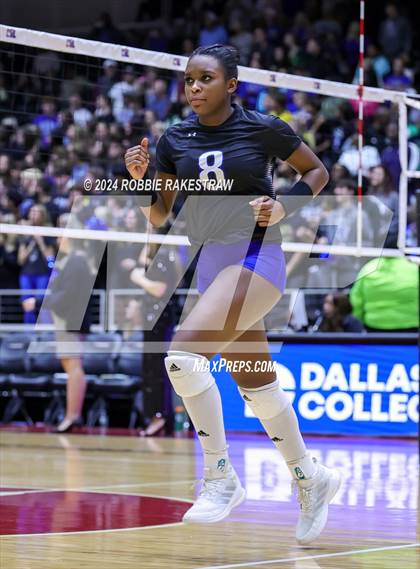 Thumbnail 3 in Byron Nelson vs. Stratford (UIL 6A Volleyball Division II Final) photogallery.