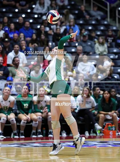 Thumbnail 2 in Byron Nelson vs. Stratford (UIL 6A Volleyball Division II Final) photogallery.