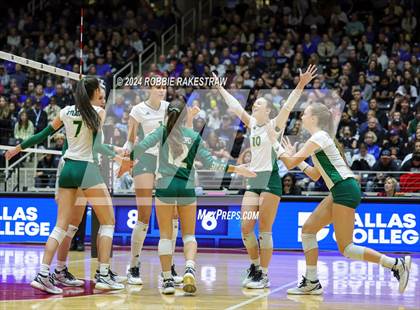 Thumbnail 1 in Byron Nelson vs. Stratford (UIL 6A Volleyball Division II Final) photogallery.