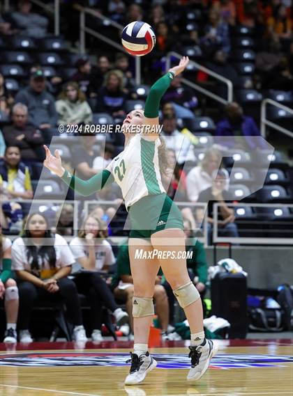 Thumbnail 1 in Byron Nelson vs. Stratford (UIL 6A Volleyball Division II Final) photogallery.