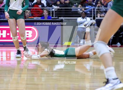 Thumbnail 3 in Byron Nelson vs. Stratford (UIL 6A Volleyball Division II Final) photogallery.