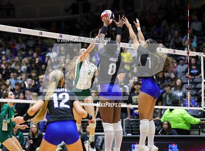 Thumbnail 1 in Byron Nelson vs. Stratford (UIL 6A Volleyball Division II Final) photogallery.