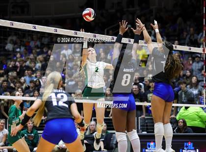 Thumbnail 3 in Byron Nelson vs. Stratford (UIL 6A Volleyball Division II Final) photogallery.