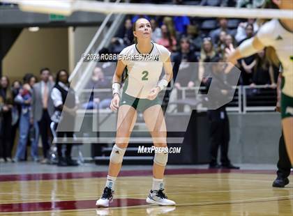 Thumbnail 3 in Byron Nelson vs. Stratford (UIL 6A Volleyball Division II Final) photogallery.