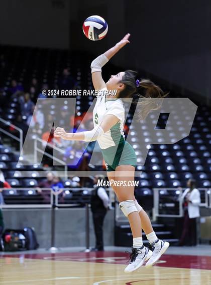 Thumbnail 1 in Byron Nelson vs. Stratford (UIL 6A Volleyball Division II Final) photogallery.
